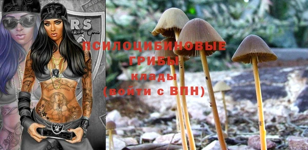 стаф Белокуриха