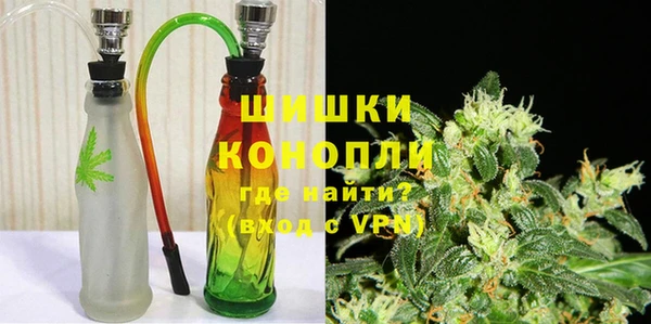 стаф Белокуриха