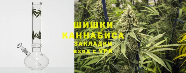 стаф Белокуриха
