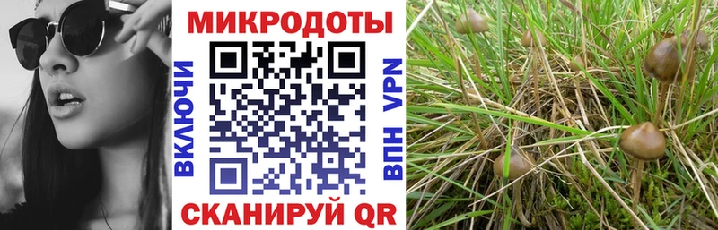 Галлюциногенные грибы MAGIC MUSHROOMS  Муравленко 